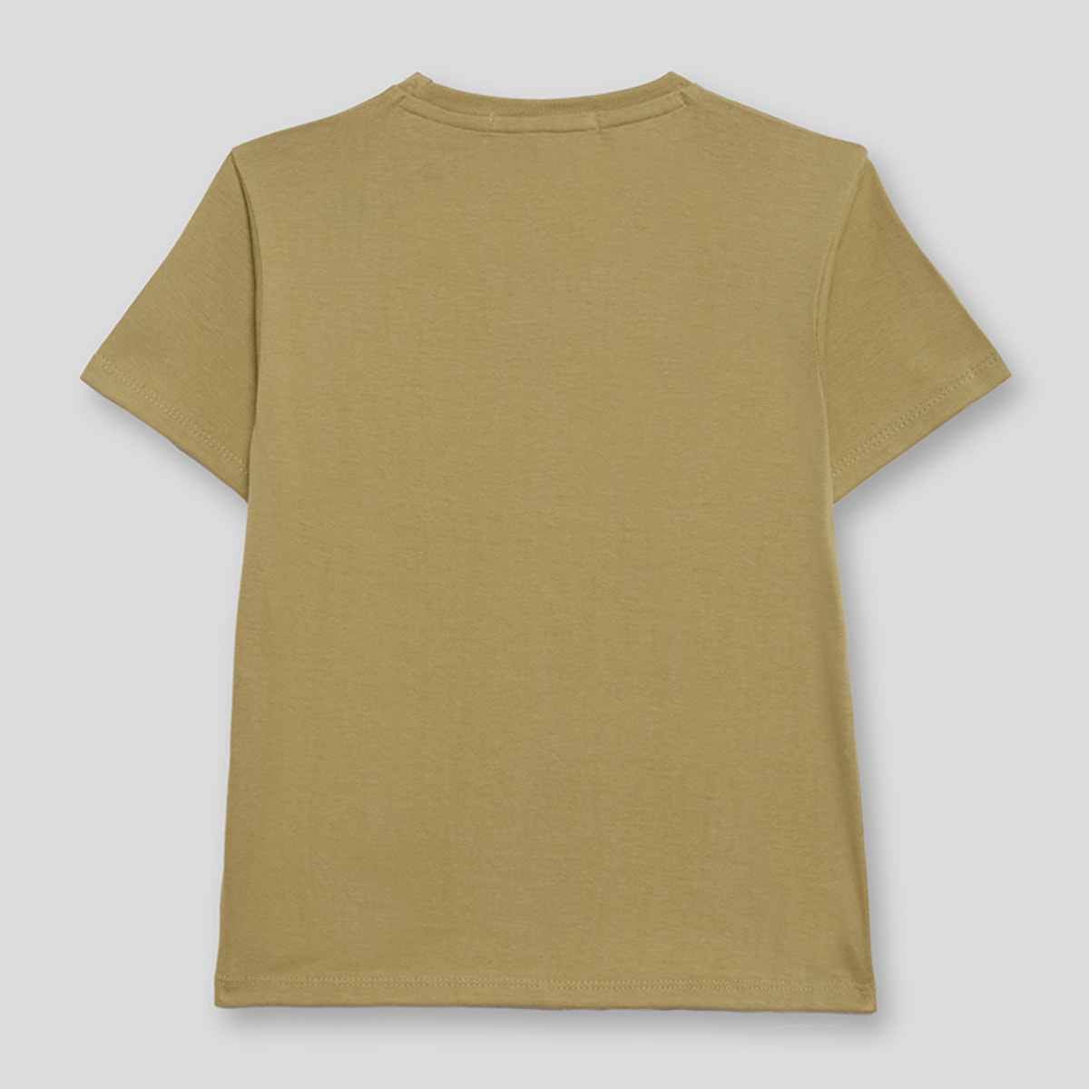 Camiseta Niño Color Tierra con Estampado de Safari y Animales, 100% Algodón | Color: Tierra | Street Monkey