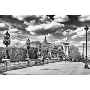Tableau paris verrière du grand palais  Toile imprimée