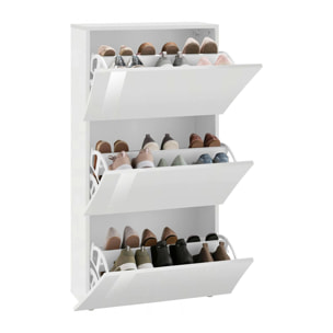 Scarpiera moderna, Made in Italy, 3 ante, Portascarpe da ingresso, cm 71x27h122, colore Bianco lucido