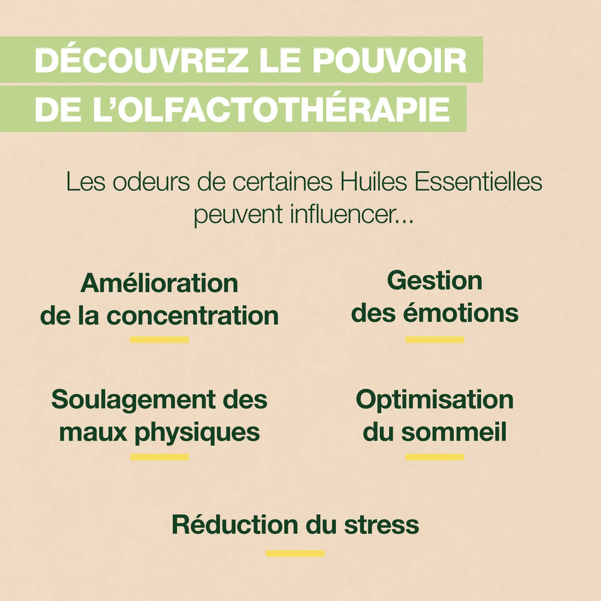 Pranarom - Roll-on Focus - Bio - 5 ml roller