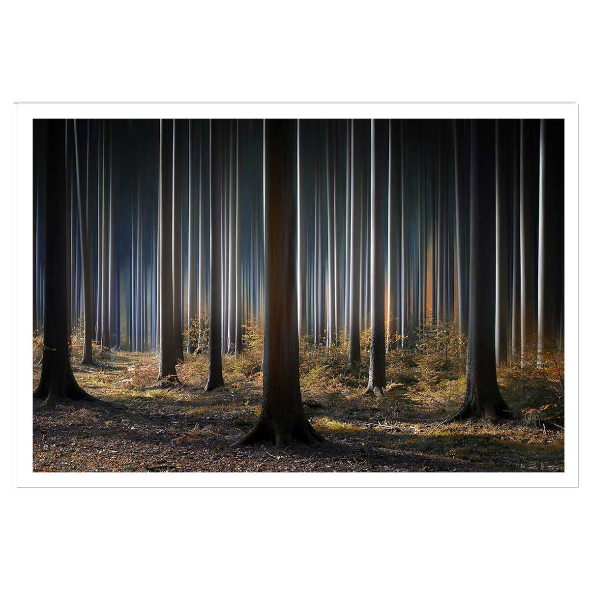 Affiche paysage forêt fantastique Affiche seule