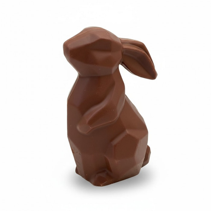 Lapin chocolat Noir 70% - Pâques - garnis de friture - 75g Bio