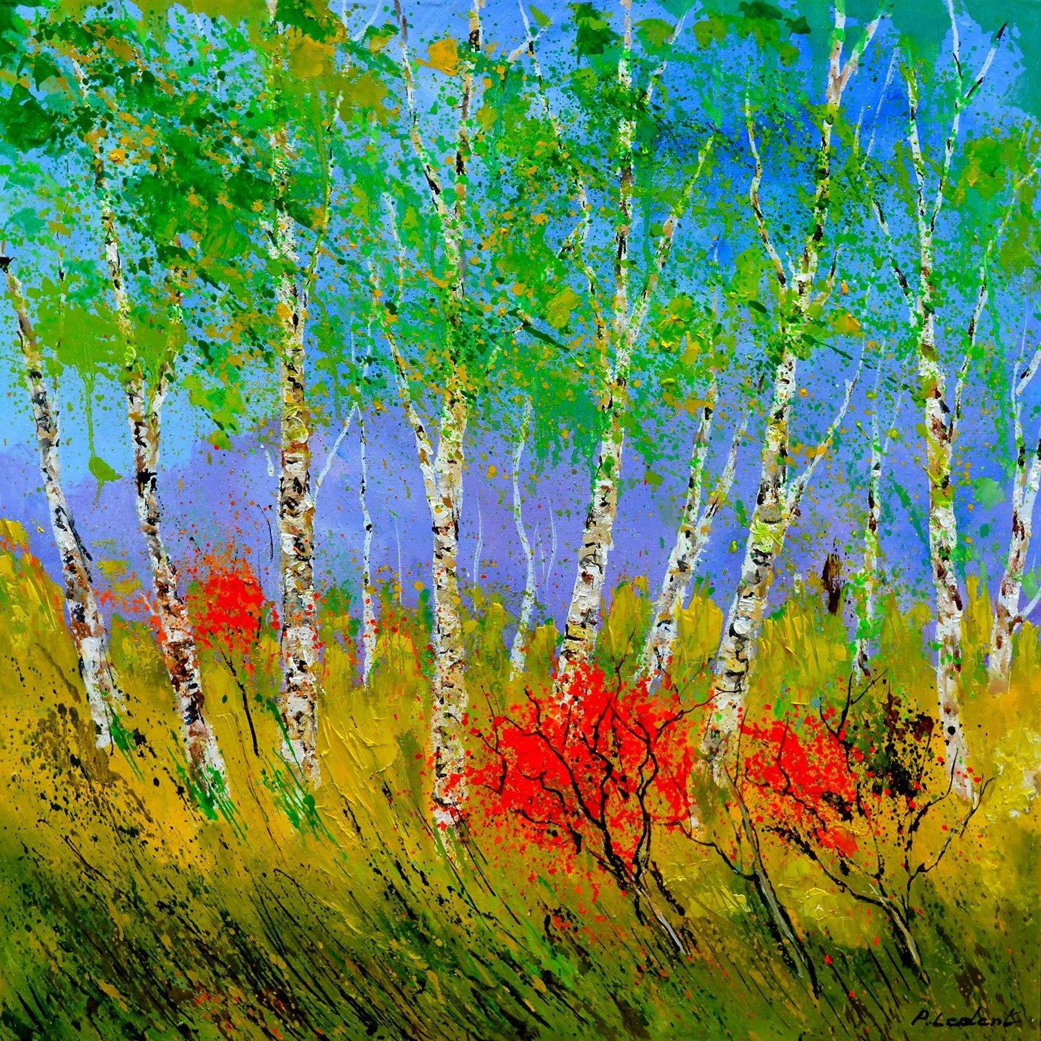 Tableau paysage bouleaux et coquelicots Toile imprimée