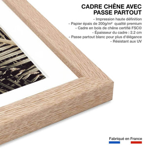 Poster palm island Affiche sous cadre bois