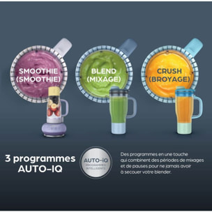 Blender NINJA BlendBoss Lavender Lemonade DB351EUPR