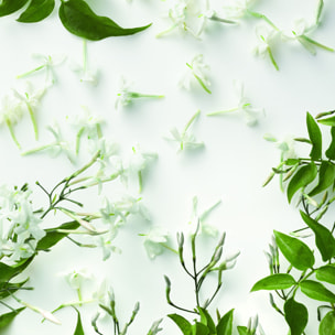 Romance  - Eau de Parfum 100 ml