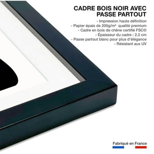 Affiche fleurs ""plante"" Affiche + cadre en bois - Noir