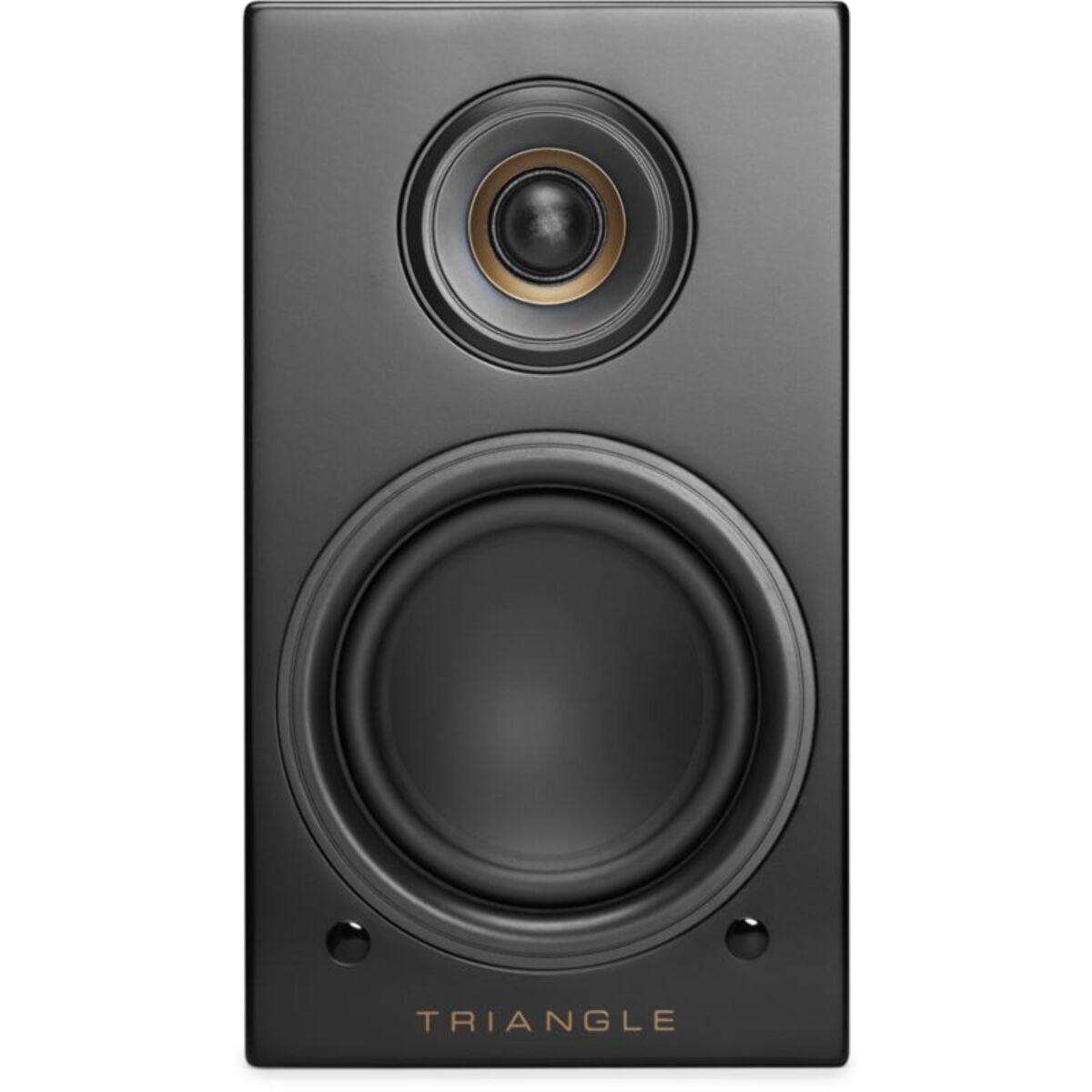 Enceinte bibliothèque active TRIANGLE LN01A ELARA NOIR MAT X2