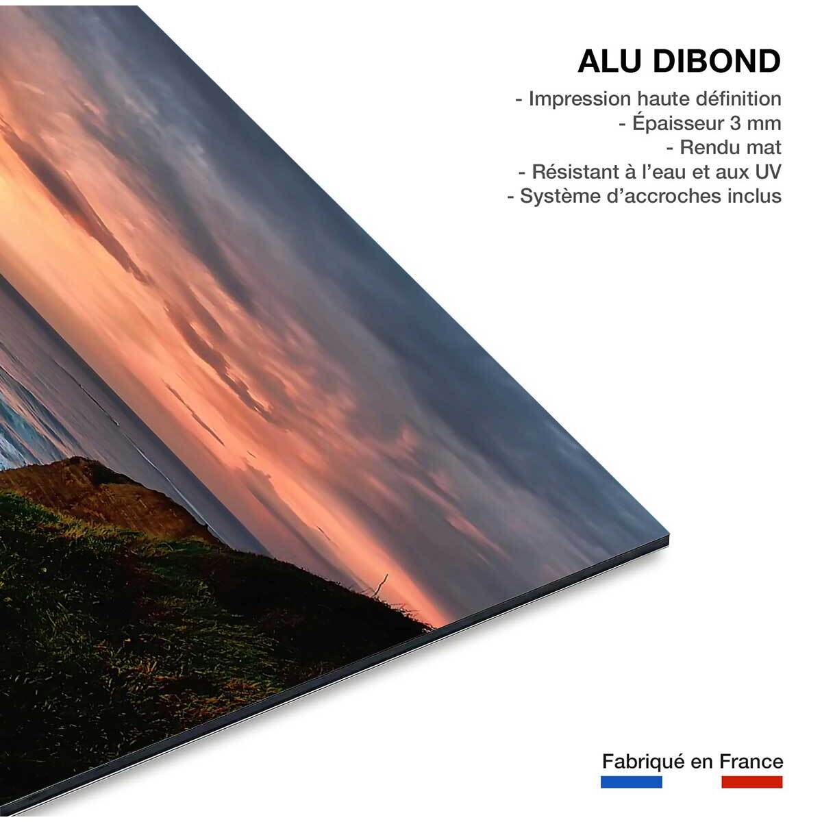 Tableau cadre moderne hendaye les deux jumeaux Tableau alu Dibond