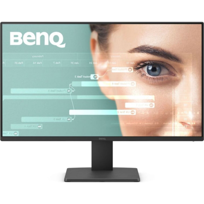 Ecran PC BENQ GW2491 24" IPS Full HD 100 Hz