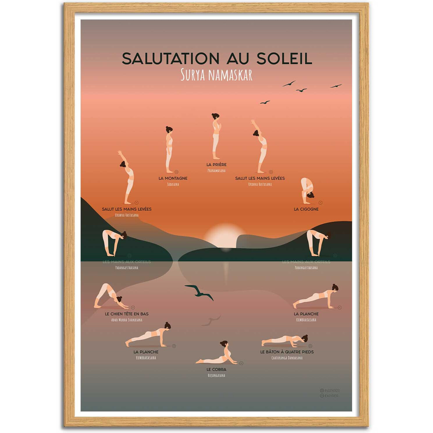 Affiche - Yoga Salutation au soleil - Frog Posters