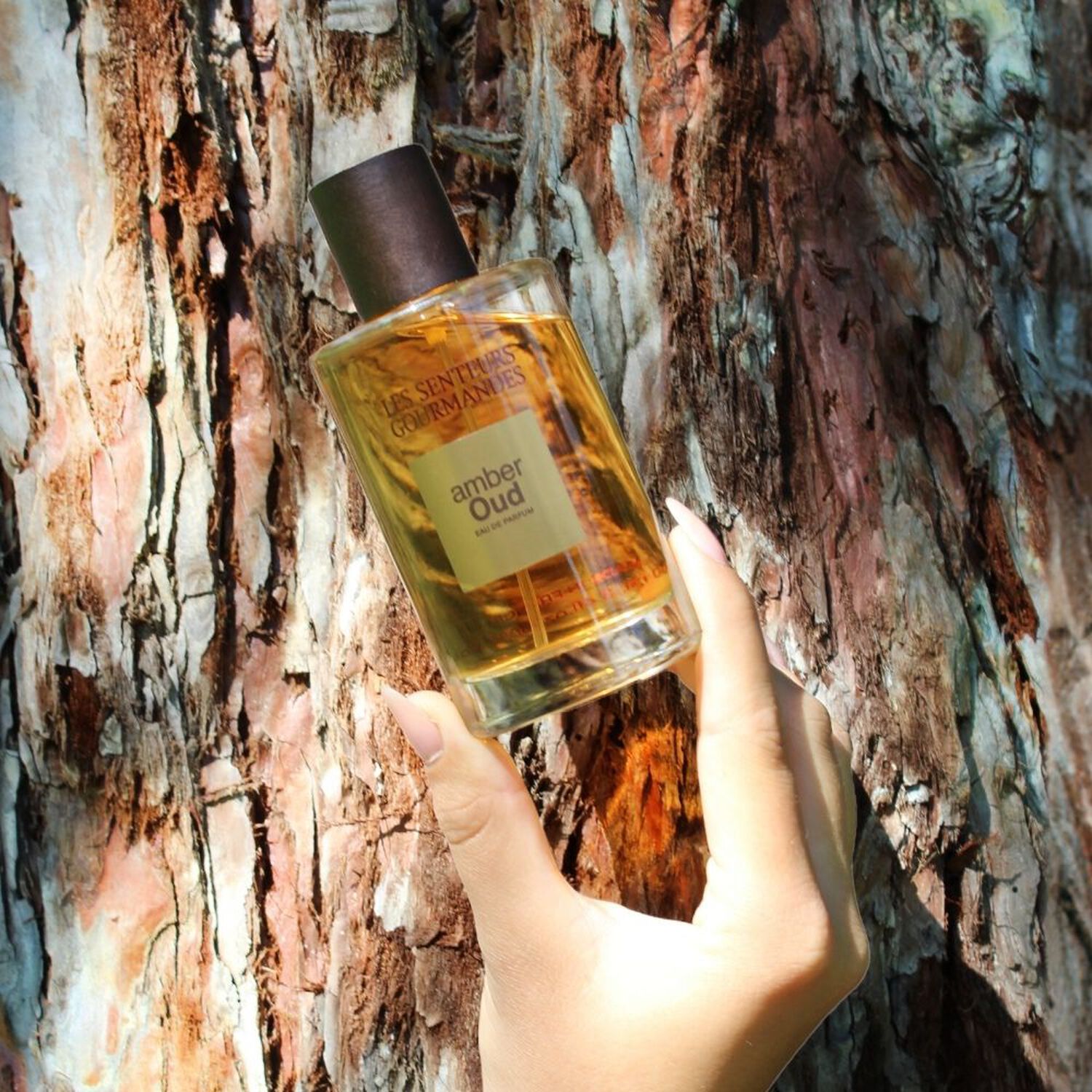 Amber Oud - Eau de Parfum