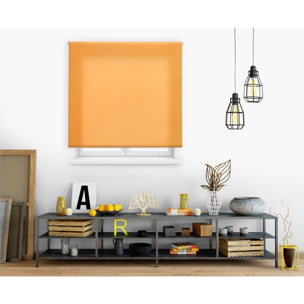 Store enrouleur Polyester Opaque Multicolore