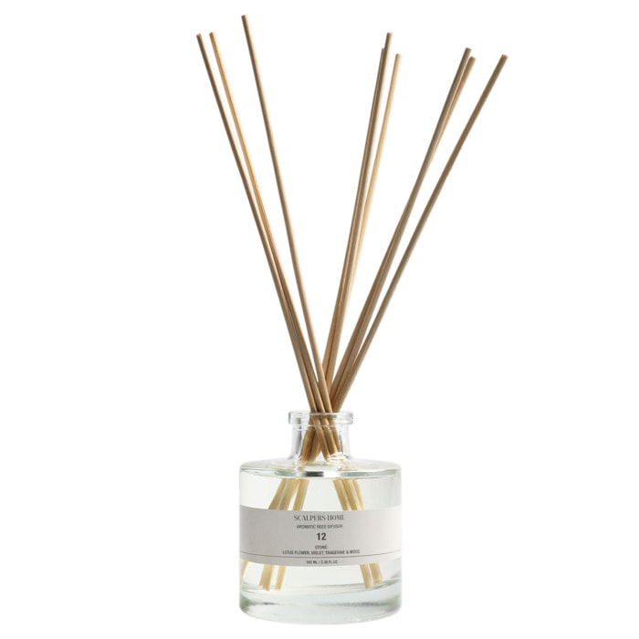 Difusor mikado de 100ml aroma stone scalpers