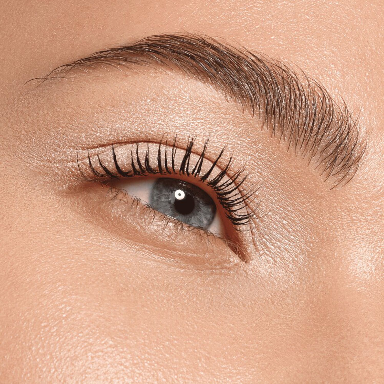 Art Couleurs  - Fard à Paupières Hautement pigmenté