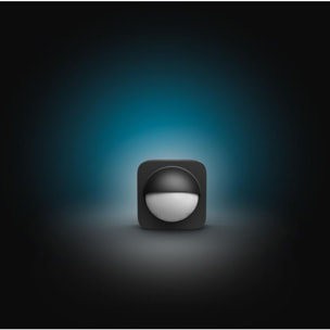 Lanterne PHILIPS HUE Motion Sensor Extérieur