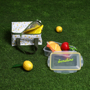 Lunch Box Sac Fraicheur Pain De Glace 2.6l2