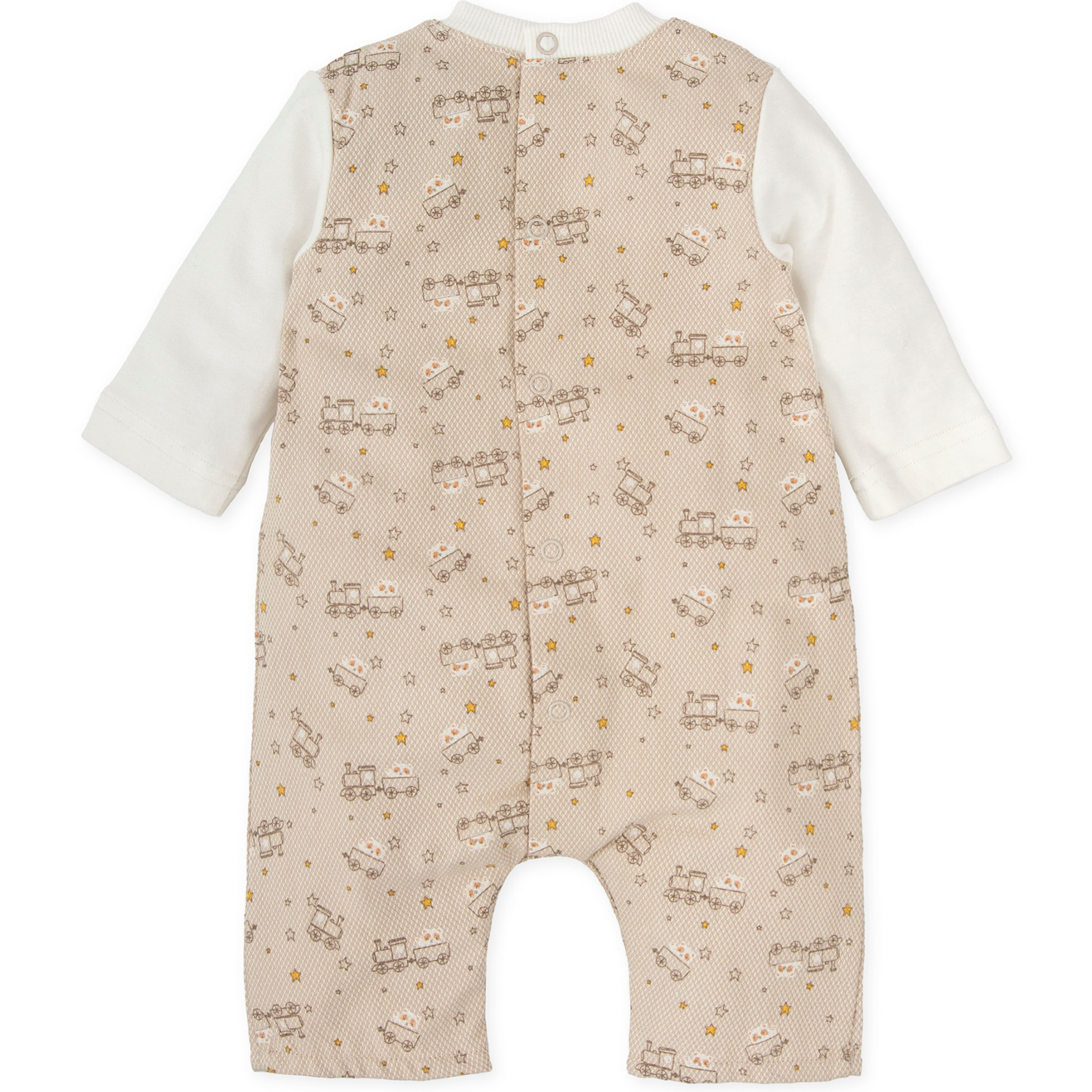 PELELE ARENA - Arena