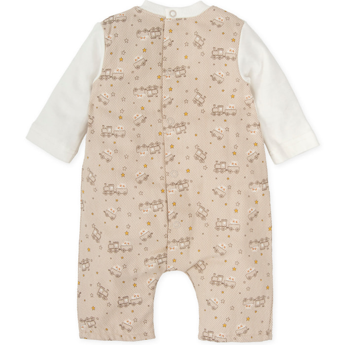 PELELE ARENA - Arena