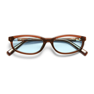 Gafas De Sol D. Franklin Lewk Brown / Blue