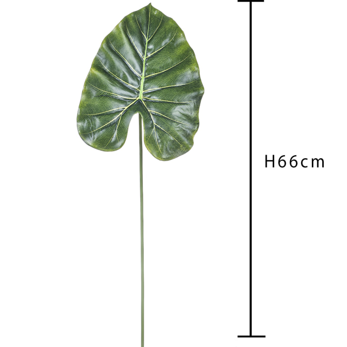 Foglia di Pothos. Altezza 66 Cm - Pezzi 12 - 29X66X20cm - Colore: Verde - Bianchi Dino - Piante Artificiali