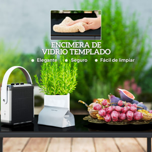 Conjunto de Jardín Exterior de Ratán Sintético de 4 Piezas Muebles de Jardín Exterior Incluye Sofá de 2 Plazas 2 Sillones 1 Mesa de Centro de Vidrio con Cojines Gris y Natural