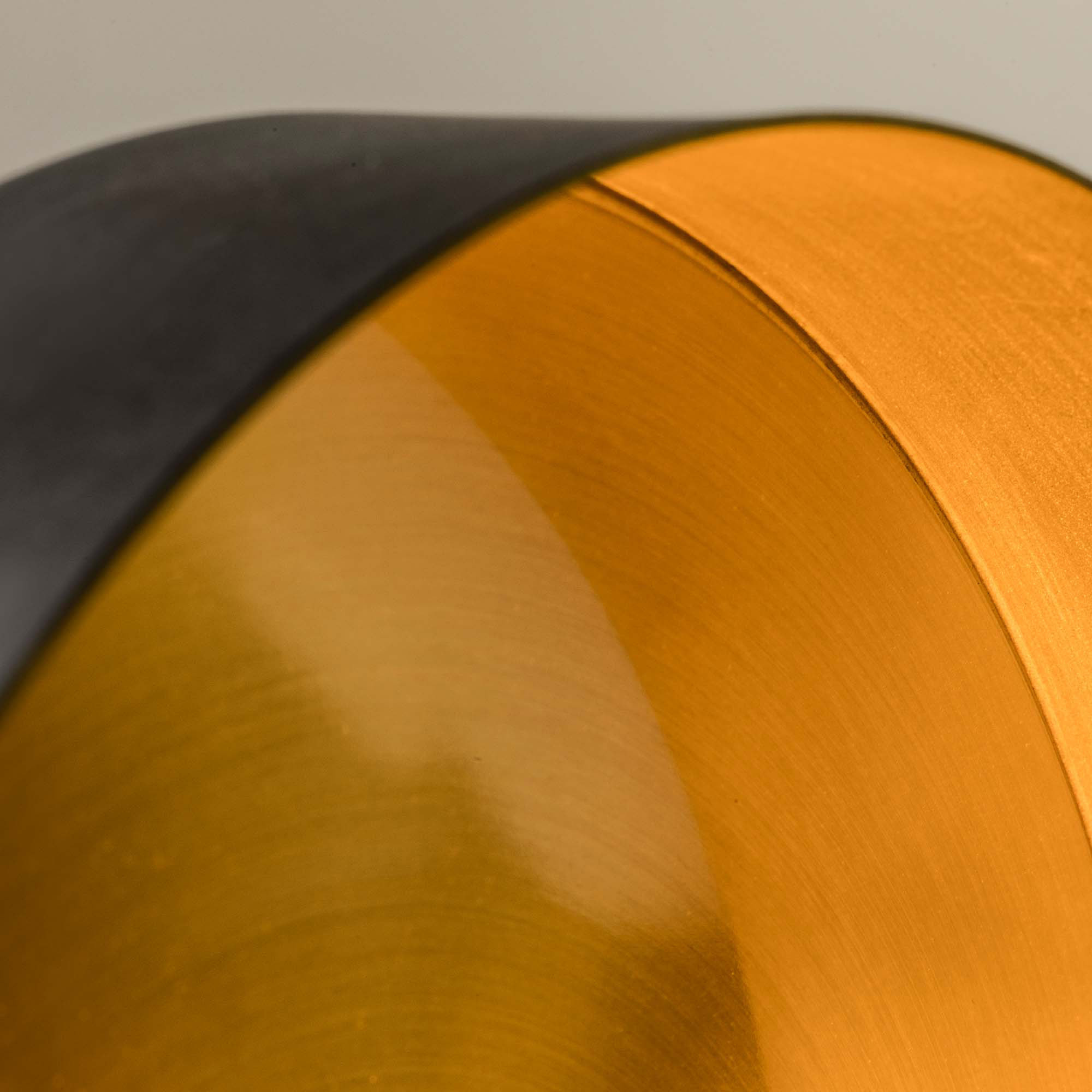 WHIZZ Lampe applique extensible noire et or satiné