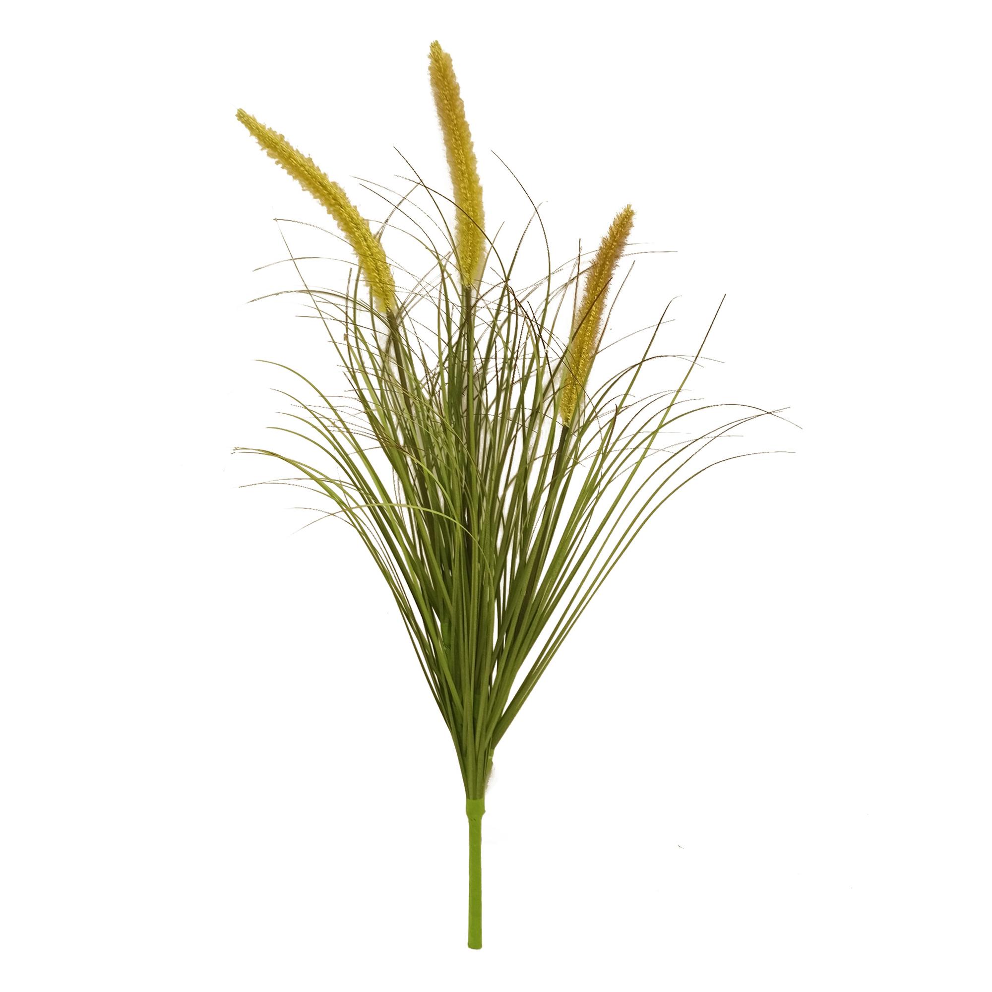 Pennisetum Con Fiori 70 Cm - Pezzi 4 - 18X70X15cm - Colore: Multicolore - Bianchi Dino - Piante Verdi