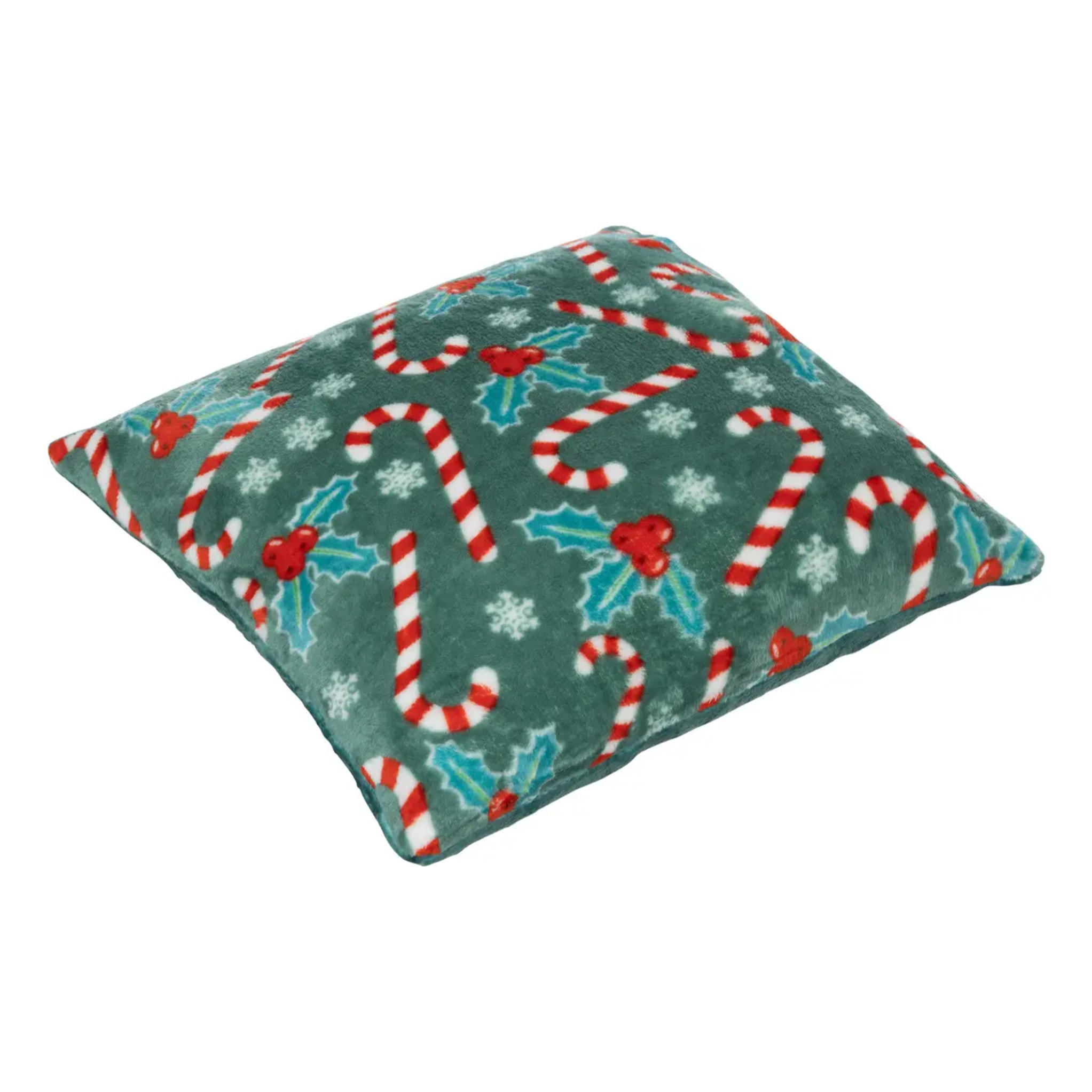 Coussin houx 40x40cm