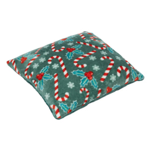 Coussin houx 40x40cm