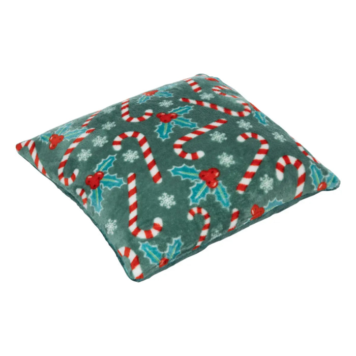 Coussin houx 40x40cm