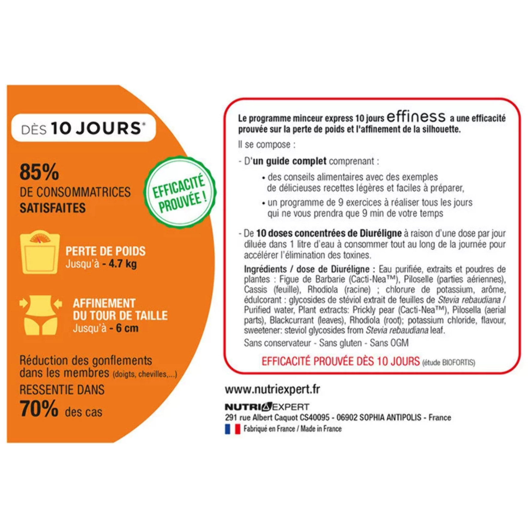 NUTRIEXPERT - Programme Minceur Express 10 jours Effiness - Elimination, perte de poids, affinement du tour de taille - Guide complet inclus - Cure 10j