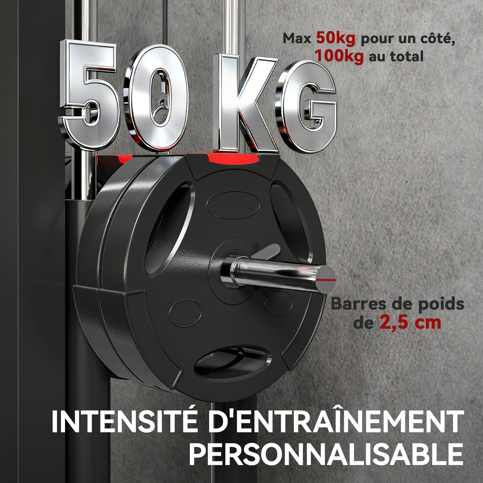 Lat pulldown machine poulie haute et basse - home lat machine murale - charge par disques
