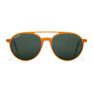 Gafas De Sol D. Franklin America Round
