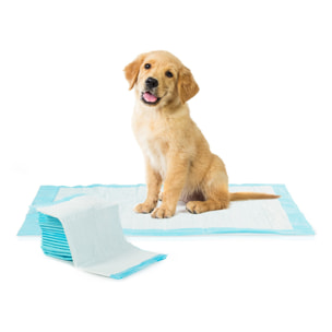 Tapis éducateurs pour chiens - Lot de 100