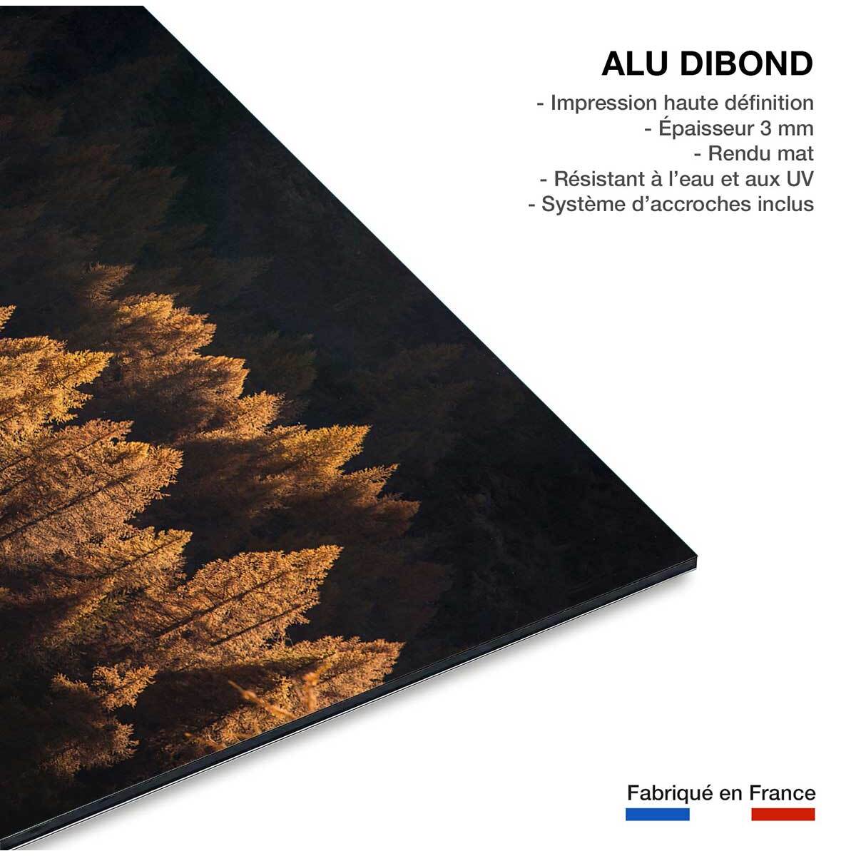 Tableau Mélèzes en automne Tableau alu Dibond
