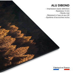 Tableau Mélèzes en automne Tableau alu Dibond