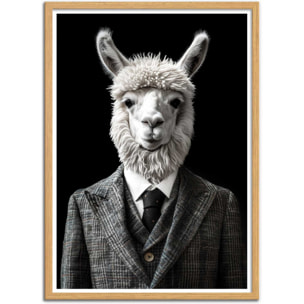 Affiche - Alpaca Wild Suits - Philippe Hugonnard