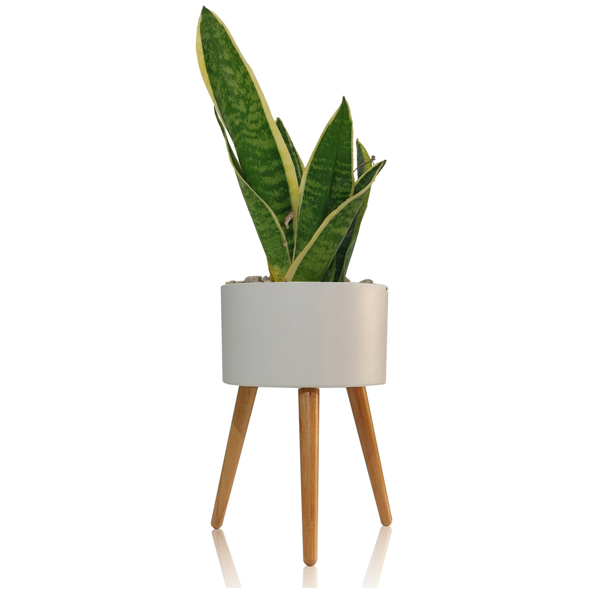 Pot de fleurs à réserve d’eau Tomasucci CALLA-C, en bois, blanc, 33 × 33 × 48 cm
