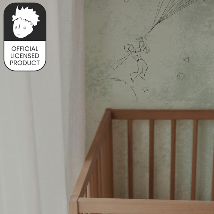 Carta da Parati Ufficiale Il Piccolo Principe Arte Uccelli Volo