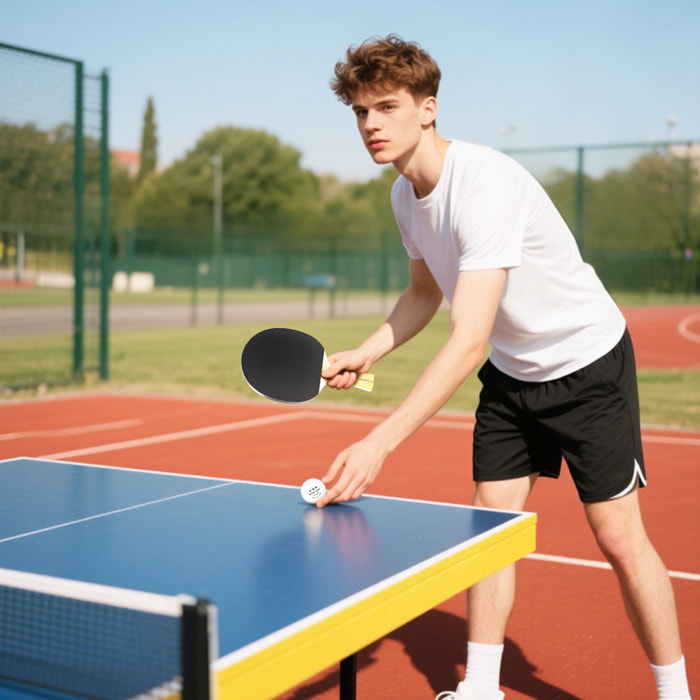 Set de 4 raquettes de tennis de table ping-pong - 8 balles, sacoche zippée de transport inclus