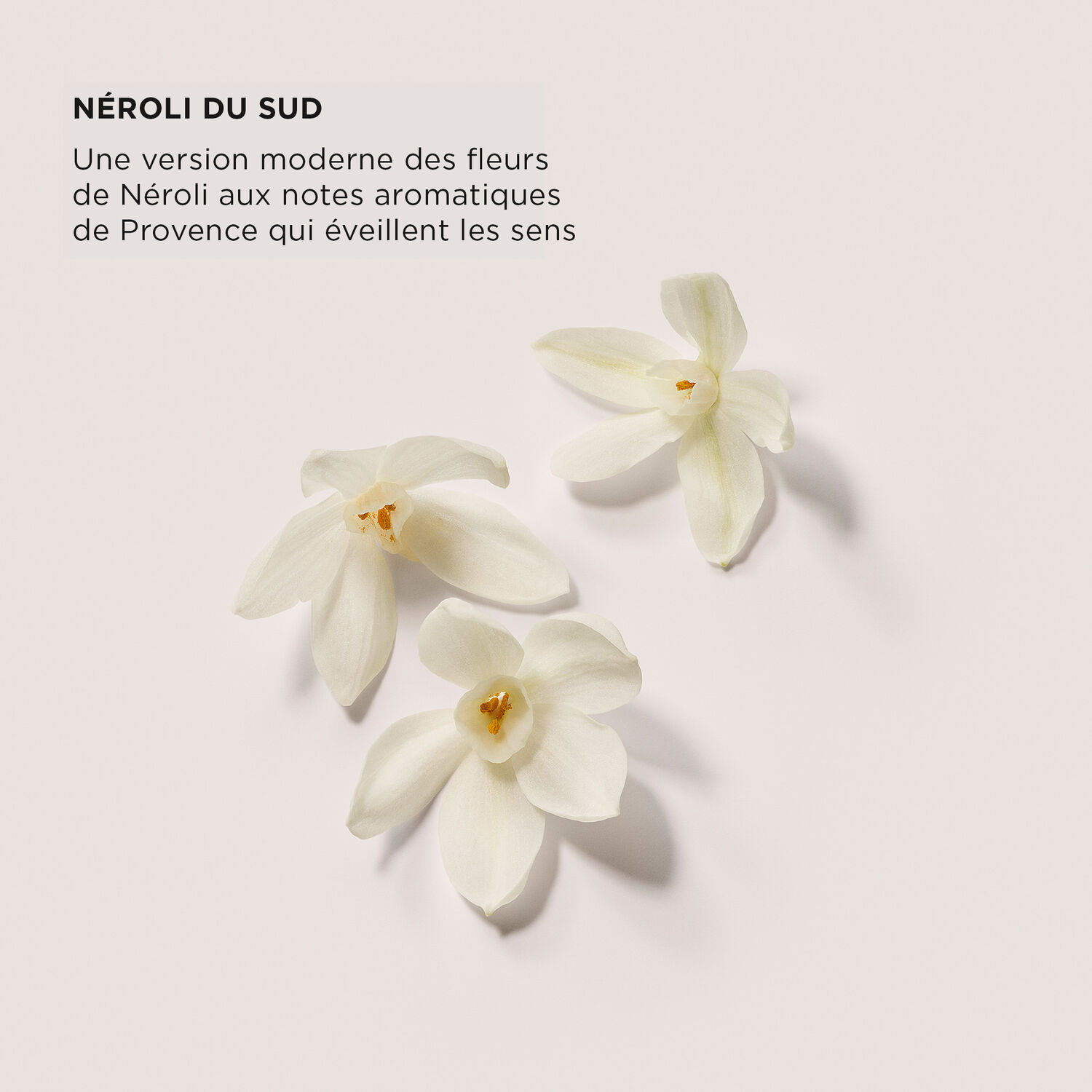 Luxe Indulgence Set - Neroli Du Sud - Set Bath & Body