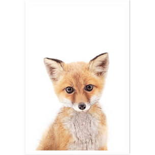 Affiche enfant bébé fox  Affiche seule