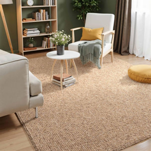 Tapis salon, motif faux uni, poils ras, look chaleureux, entretien