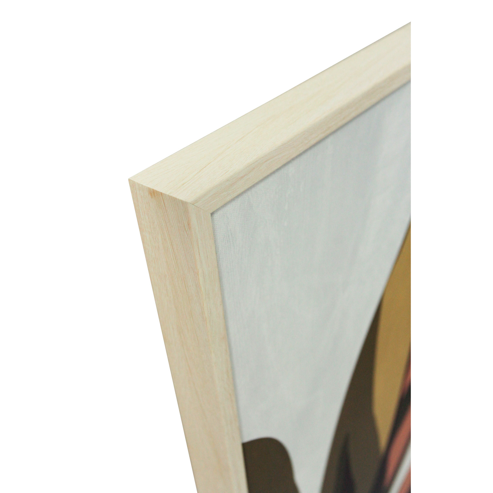 Set 2 cuadros Patio poliéster verde-rosa 72x52x4 cm