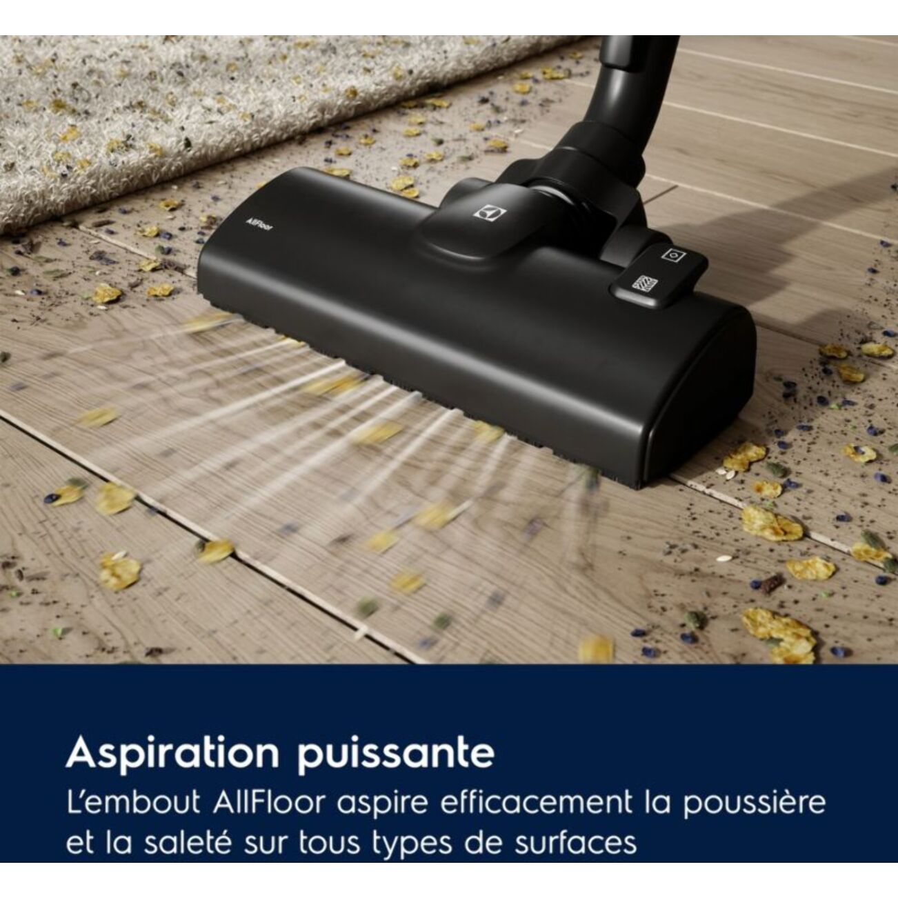 Aspirateur avec sac ELECTROLUX EB51C1UG