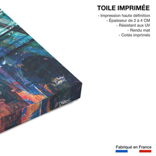 Tableau colisée pop art Toile imprimée