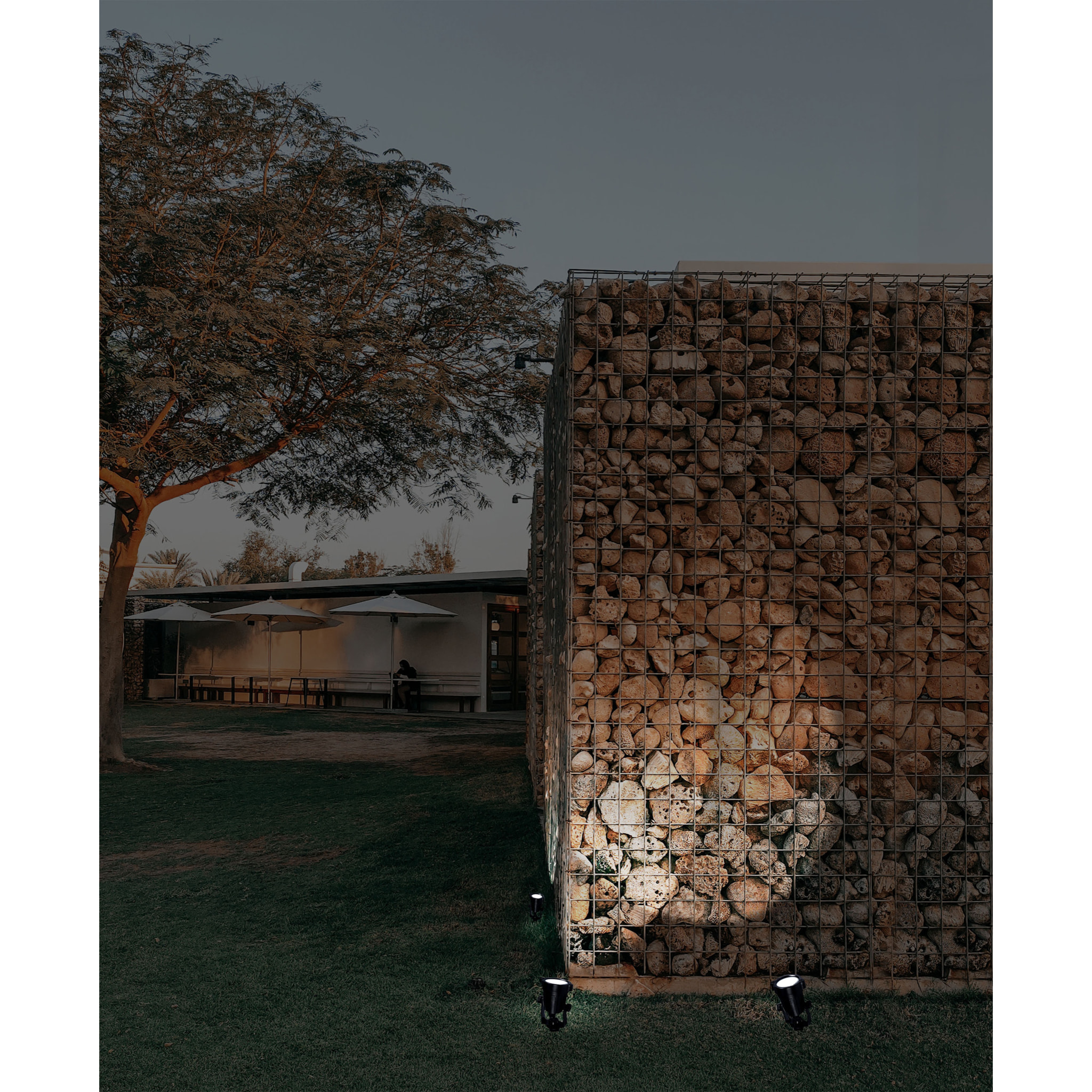 Forlight Proyector Solar LED Exterior IP65, 15W Luz Blanca Fría 6500K, Resistente al Agua y Golpes, Instalación Fácil con Pinchos, Ecológico y Versátil para Jardines y Terrazas