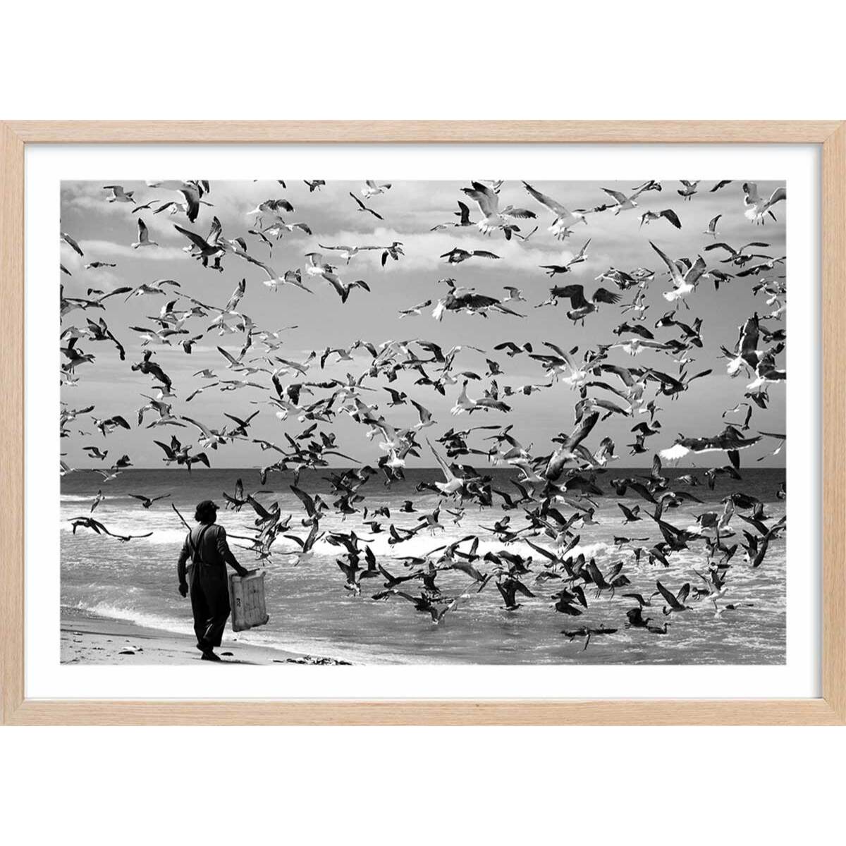 Poster festin de mouettes Affiche + cadre en bois - Chêne