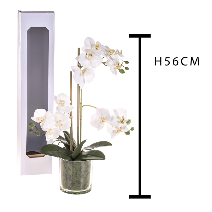 Pianta Di Phalaenopsis Con Vaso. Altezza 56 Cm - Pezzi 1 - 30X56X30cm - Colore: Bianco - Bianchi Dino - Piante Artificiali